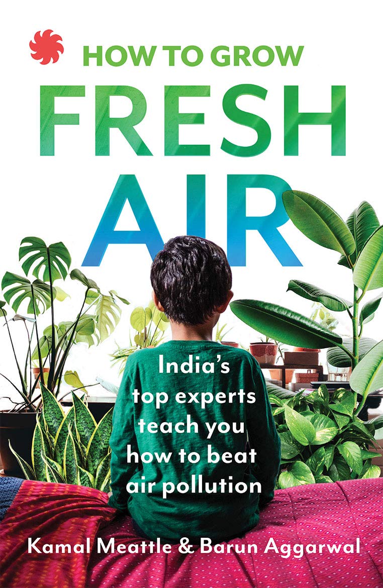HOW TO GROW FRESH AIR