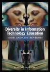 DIVERSITY IN INFORMATION TECHNOLOGY EDUCATION: ISSUES AND CONTROVERSIES illustrated edition Edition