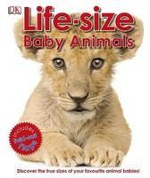 Life-Size: Baby Animals