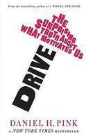 Drive : The Surprising Truth About What Motivates Us