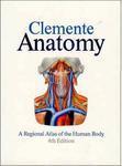 Anatomy - A Regional Atlas Of The Human Body Fourth  Edition