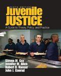 Juvenile Justice: A Guide to Theory, Policy, and Practice 0006 Edition