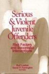 Serious and Violent Juvenile Offenders: Risk Factors and Successful Interventions illustrated edition Edition