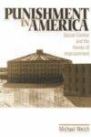 Punishment in America: Social Control and the Ironies of Imprisonment illustrated edition Edition