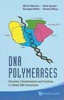 DNA Polymerases: Discovery, Characterization and Functions in Cellular DNA Transactions