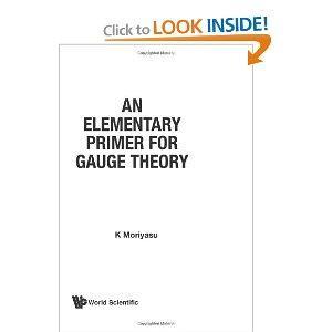 Elementary Primer For Gauge Theory, An