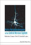 Matrix Metalloproteinases in the Central Nervous System illustrated edition Edition