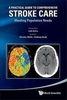 A Practical Guide to Comprehensive Stroke Care: Meeting Population Needs