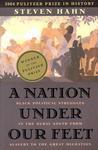 A Nation Under Our Feet: Black Political Struggles in the Rural South from Slavery to the Great Migration New edition Edition