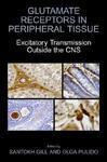 Glutamate Receptors in Peripheral Tissue: Excitatory Transmission Outside the CNS 1st Edition