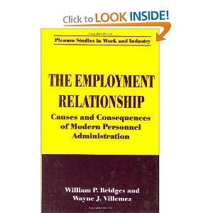 The Employment Relationship: Causes and Consequences of Modern Personnel Administration (Springer Studies in Work and Industry)