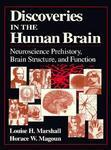 Discoveries in the Human Brain: Neuroscience Prehistory, Brain Structure, and Function 1st Edition