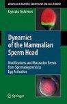 Dynamics of the Mammalian Sperm Head: Modifications and Maturation Events from Spermatogenesis to Egg Activation