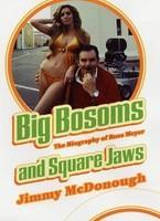 Big Bosoms And Square Jaws