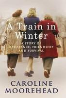 Train in Winter, A