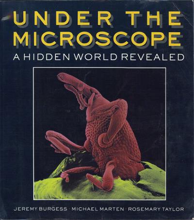 Under the Microscope: A Hidden World Revealed