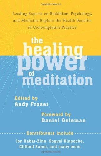 The Healing Power of Meditation: Leading Experts on Buddhism, Psychology, and Medicine Explore the Health Benefits of Contemplative Practice