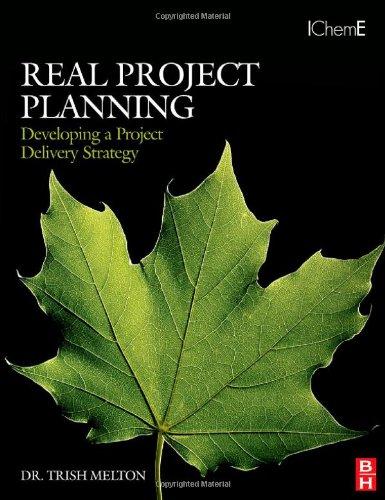 Real Project Planning: Developing a Project Delivery Strategy