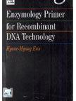 Enzymology Primer For Recombinant Dna Technology