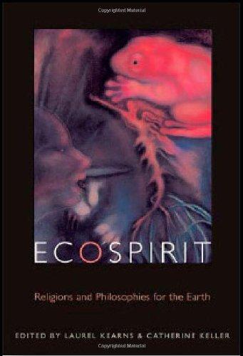 Ecospirit: Religions and Philosophies for the Earth (Transdisciplinary Theological Colloquia)