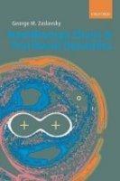 Hamiltonian Chaos and Fractional Dynamics First Edition
