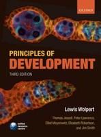 Principles Of Devlopment