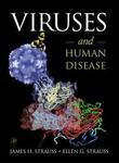 Viruses And Human Disease Ppr 1st Edition