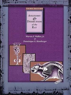 Anatomy and Dissection of the Rat (Freeman Laboratory Separates I)