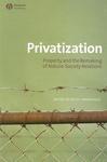 Privatization: Property and the Remaking of Nature-Society Relations