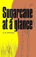 Sugarcane at a glance 1st Edition