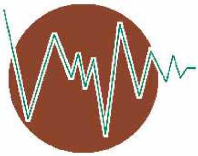 Dietary Fibre Analysis (RSC Food Analysis Monographs)