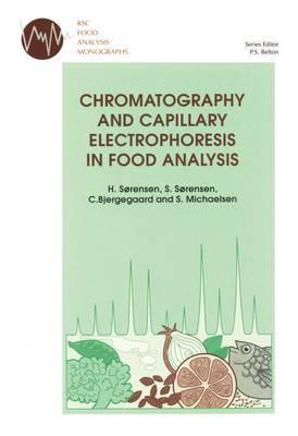 Chromatography and Capillary Electrophoresis in Food Analysis (RSC Food Analysis Monographs)