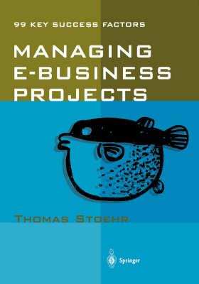 Managing e-Business Projects