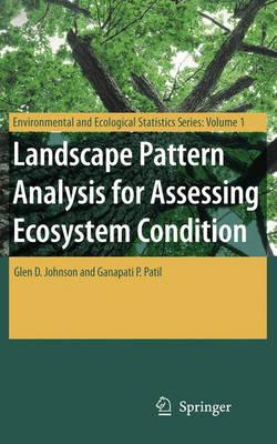 Landscape Pattern Analysis for Assessing Ecosystem Condition (Environmental and Ecological Statistics)