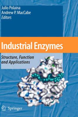 Industrial Enzymes: Structure, Function and Applications