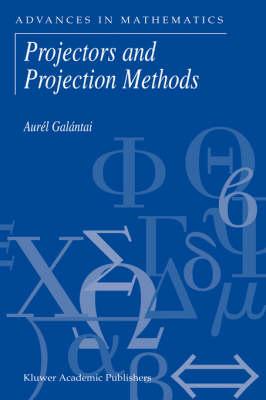 Projectors and Projection Methods (Advances in Mathematics)