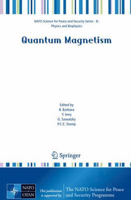 Quantum Magnetism (NATO Science for Peace and Security Series B: Physics and Biophysics)
