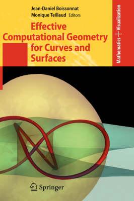 Effective Computational Geometry for Curves and Surfaces (Mathematics and Visualization)