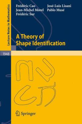 A Theory of Shape Identification (Lecture Notes in Mathematics)