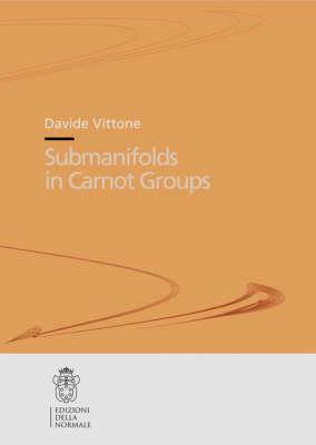 Submanifolds in Carnot Groups (Publications of the Scuola Normale Superiore / Theses (Scuola Normale Superiore)) (v. 7)