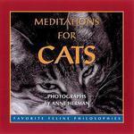 Meditations For Cats
