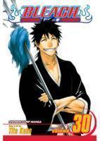 Bleach, Volume 30: There Is No Heart Without You