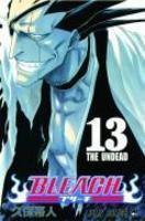 Bleach, Volume 13