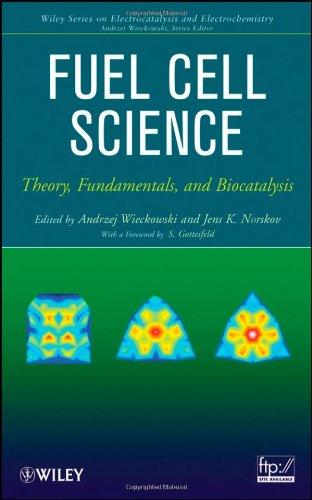 Fuel Cell Catalysis And Biocatalysis: Theory And Fundamentals