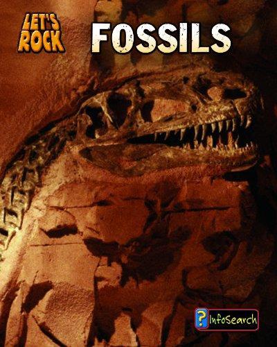 Fossils