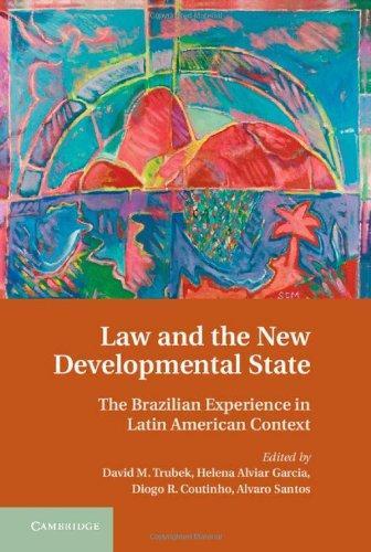 Law and the New Developmental State