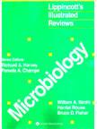 Lippincott'S Illustrated Reviews Microbiology, 2/e