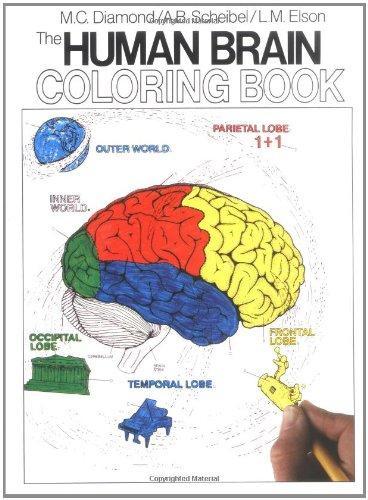 HUMAN BRAIN COLORING BOOK