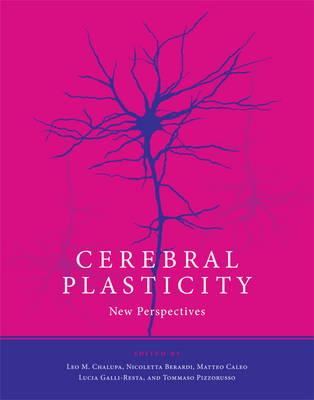 Cerebral Plasticity: New Perspectives