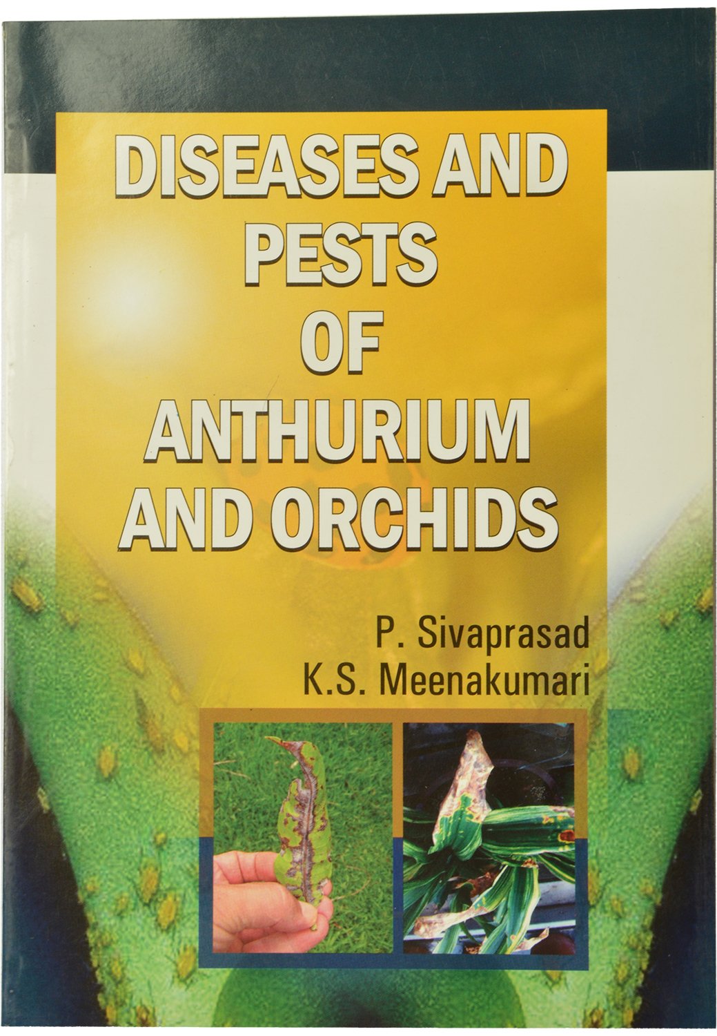 Diseases  and Pests of Arthurim and Orchids